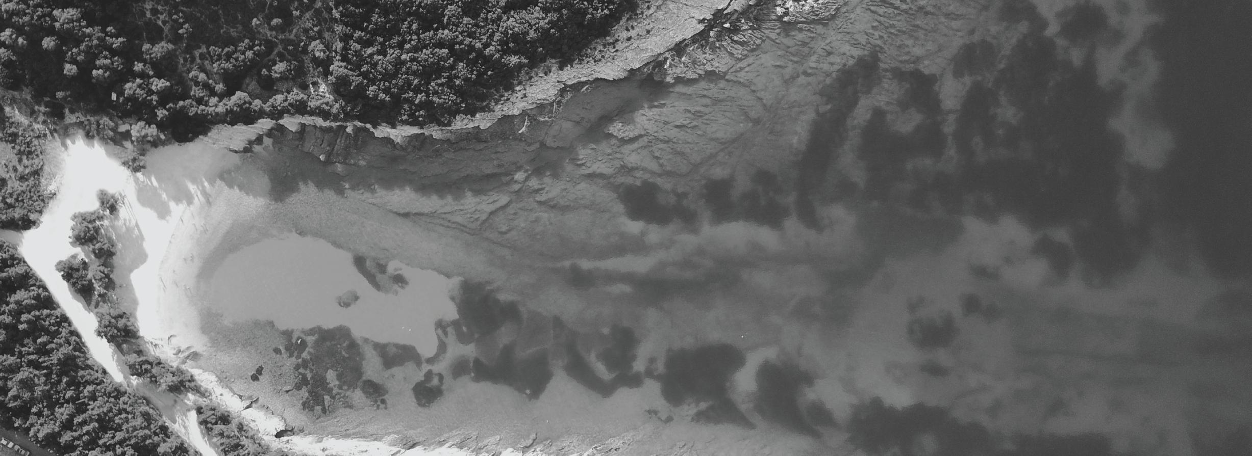 Data is the quantum of our jagged world.