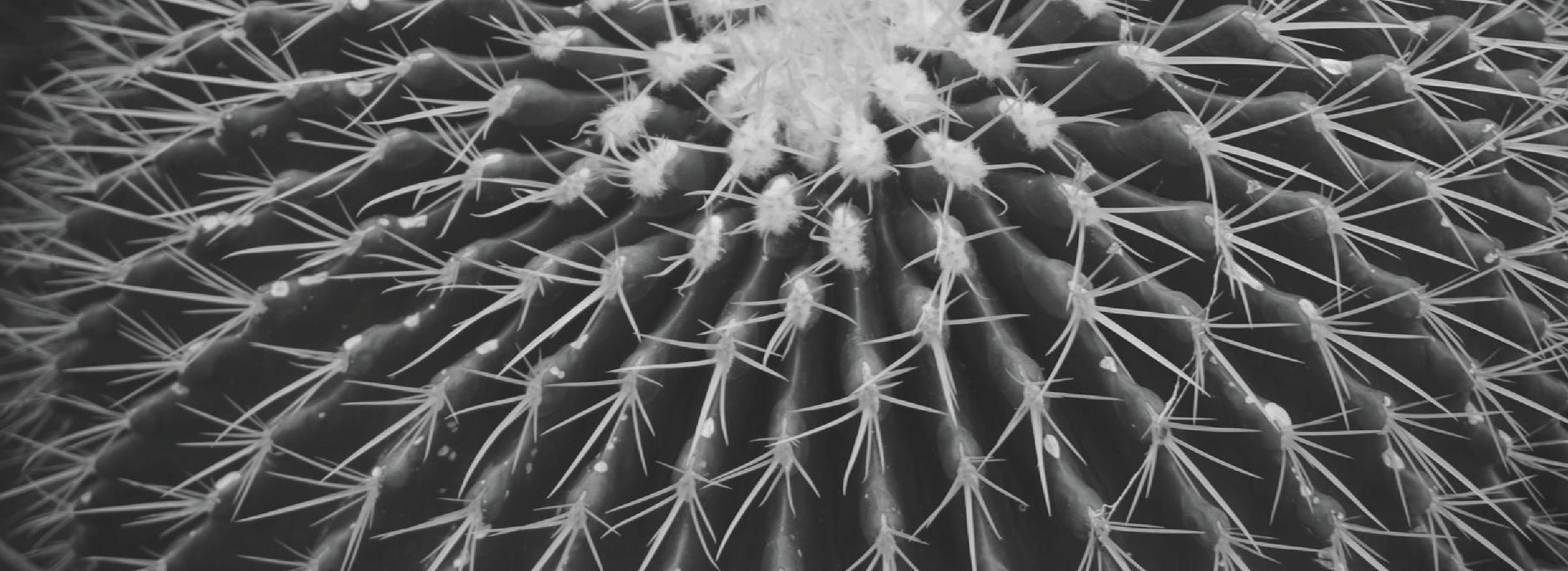 The path to regulatory compliance can be prickly.
