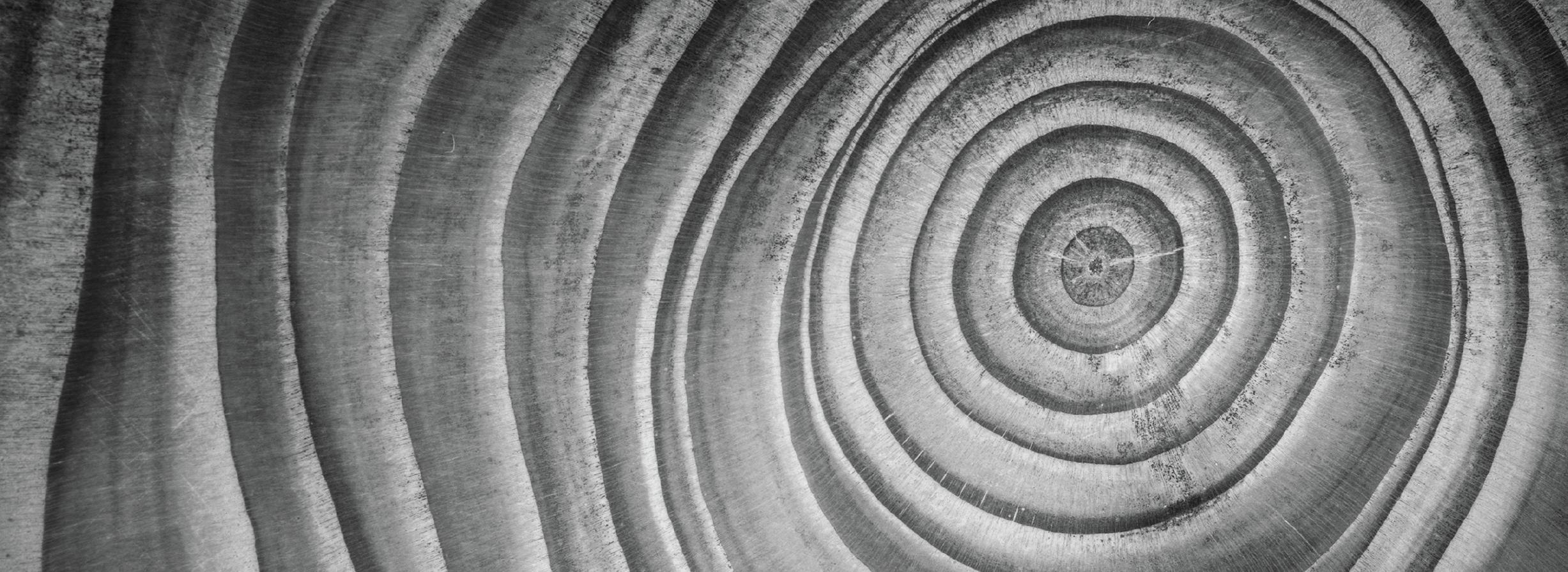 Decision-making is part hindsight and part foresight.